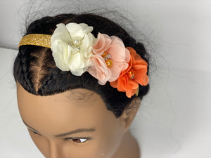 Fun and Fancy Head bands