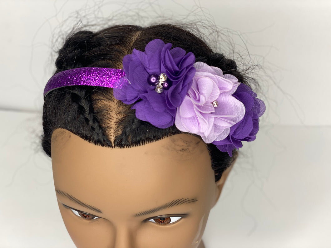 Fun and Fancy Head bands